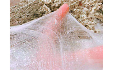 怎樣去辨別蠶絲面膜的真假？